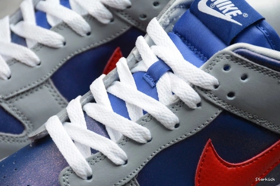 CZ2667-400 Low (2020) Samba Nike Dunk 0125